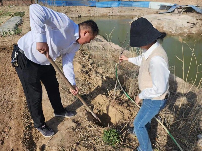 “春播添新綠，不負(fù)好春光”-城建新型材料公司黨支部開(kāi)展主體黨日活動(dòng)